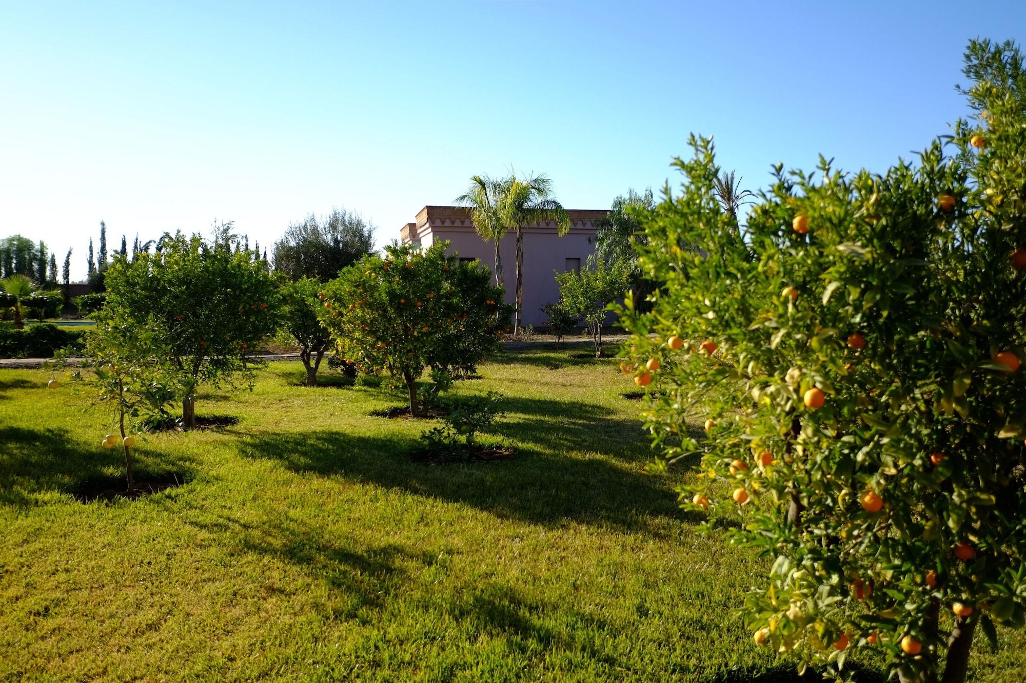 Terra Mia Marrakech Ouled Jelal Exterior foto